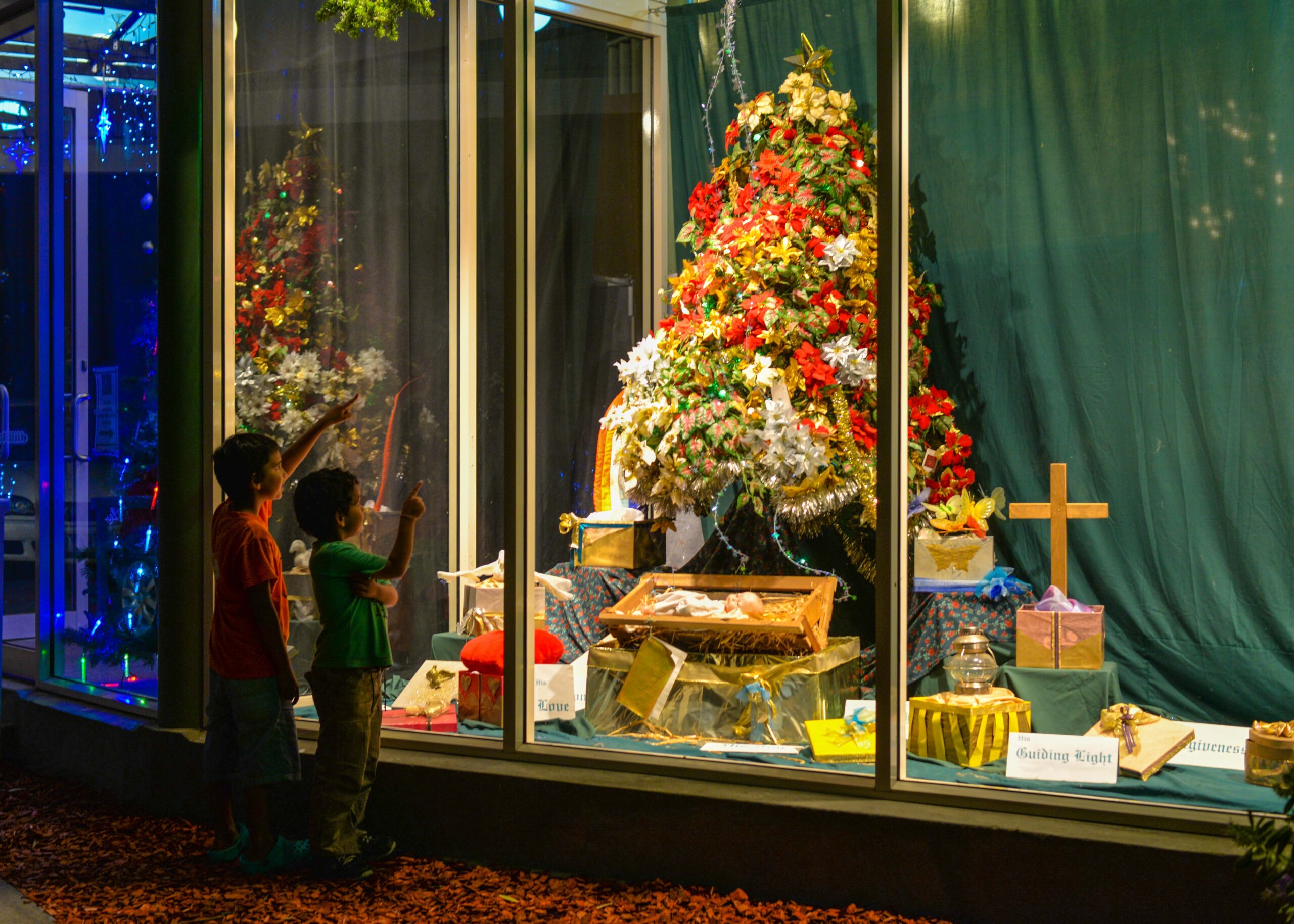 Christmas Windows